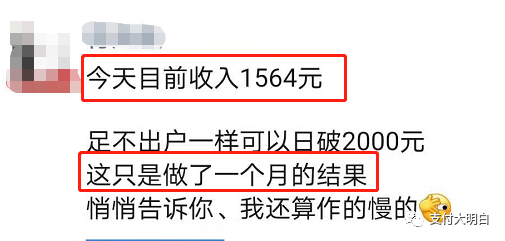 【投票】有人一天赚几千，有人亏一日三餐，2020年做支付你赚了多少钱？(图1)